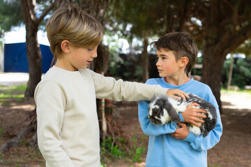 Children petting rabbit in a forest: two young boys showing affection to a cute bunny