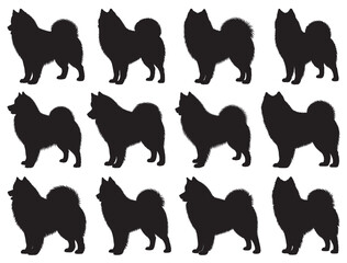 SAMOYED DOG SILHOUETTE