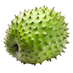 Whole soursop isolated on transparent background