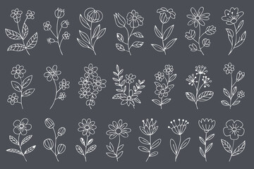 Hand drawn floral illustrations featuring various flowers and leaves on dark background, perfect for design projects