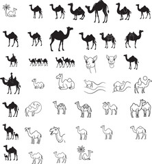 Black and White Camel Illustration Collection for Cultural Decor and Fabric