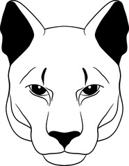 Puma, head of cougar outline vector illustration