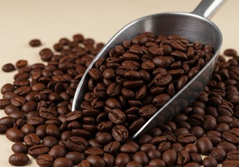 Roasted coffee beans with a metal scoop on a neutral surface, close-up