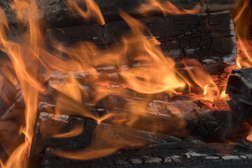 abstract bright fire from burning wood