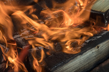 fire from burning wood closeup
