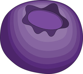 Fresh Purple Blueberries 

