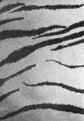Animal Print Fabric Texture Closeup Monochrome Pattern Striped Textile Surface