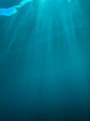 The sun shines through water, casting mottled light and shadow, intertwined with countless bubbles underwater, like a dance of light. Various aquatic, fish swimming in water in Mediterranean sea.