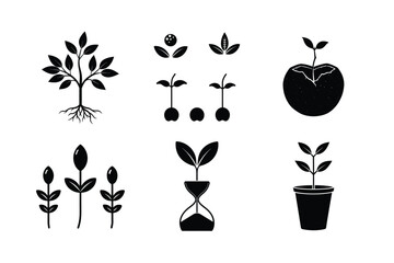 Butter Tree Seed Germination Stages – Root and Sprout Development Icons