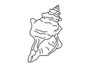 Vector isolated one single big sea shell ocean sea vibe colorless black and white contour line easy drawing