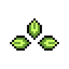 Obraz premium pixel art seed