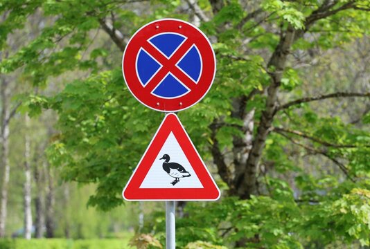 Two road signs on a green roadside: a no parking symbol above a triangular warning sign with a duck icon, indicating a nearby crossing zone for ducks in a natural area.