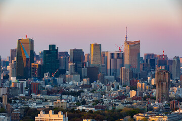 Obraz premium 東京・都市部の夕景