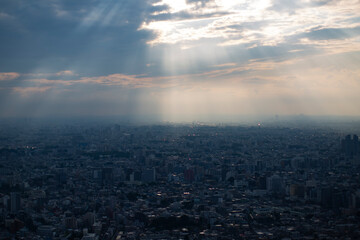 東京・都市部の夕景