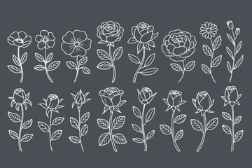Floral illustrations featuring various flower designs, including roses and daisies, with intricate line art on dark background