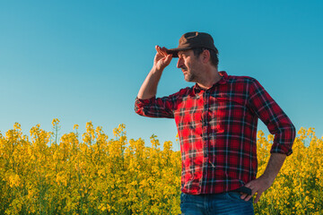Male farm worker looking over blooming canola rapeseed field in spring sunset