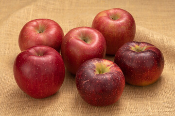 林檎【秋の味覚】