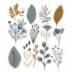 Minimalistic line art of Botanical wall art