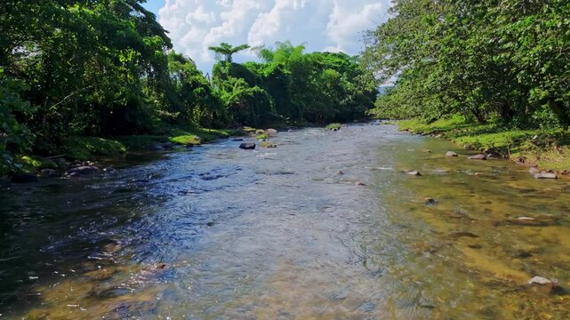 Aerial drone footage flying over rocky bed of Rio Maimon, surrounded by lush green tropical forest on sunny day, Dominican Republic