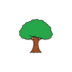 Banyan Tree with white background
