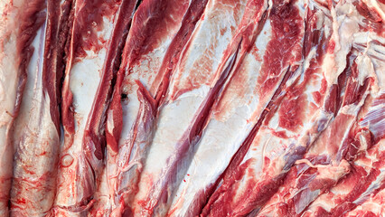 Close-up view of raw meat and bones.