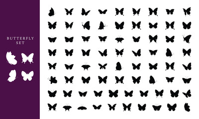 Butterfly silhouettes various butterfly species vector art illustration