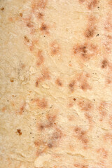 A close-up, top-down view reveals the textured, lightly browned underside of a flatbread