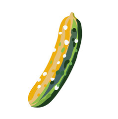 Cucumber vegetable with colorful design, vector illustration on transparent background
