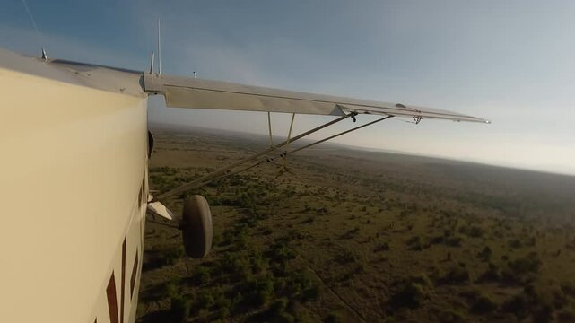 Aerial wide of small air plane side view flying low over dry savannah and landing in a sunny morning in Kenya