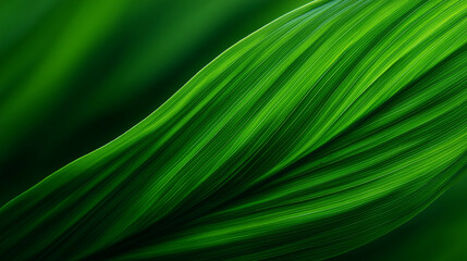 Detailed Abstract of a Green Leaf with Veins