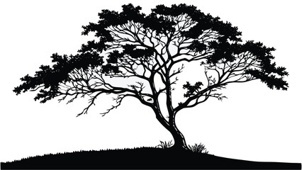 Silhouette of a tree with detailed branches and leaves on a transparent white background