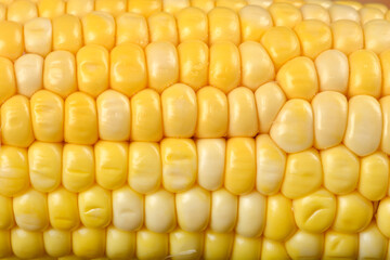 A very close-up, full-frame shot highlights the textured pattern of vibrant yellow and white corn kernels.