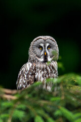 Alles im Blick