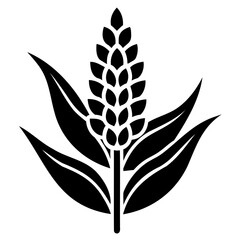 Black silhouette vector of sorghum outline icon on transparent background suitable for farming food packaging and infographics
