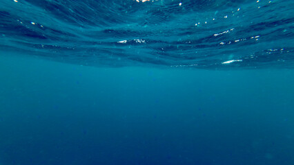 Obraz premium Underwater world wide angle view. Sectional view of the ocean. View of the ocean surface from underwater. Waves on the surface of the sea.