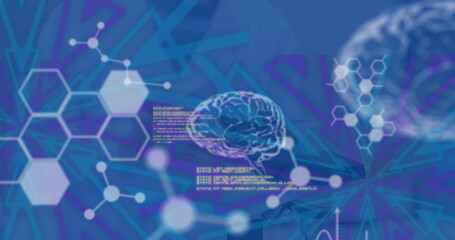 Image of data processing and digital brain over caucasian female scientist