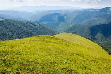 rolling scenery with grassy alpine meadow. smooth grassy highland. scenic carpathian mountain landscape of borzhava ridge. popular travel destination of ukraine on a sunny day in summer
