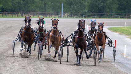 Modena, Italy – 05 18 2025: Racing horses trots and rider on a track of stadium. Competitions for trotting horse racing. Horses compete in harness racing. Horse runing at the track with rider.
