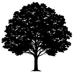 Fototapeta premium silhouette of a tree