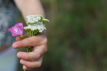 woman holding a flower