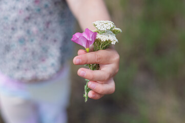woman holding a flower