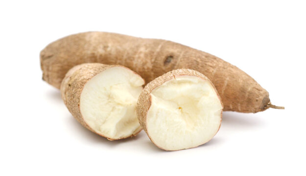 Yucca root 