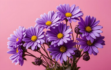 A bunch of purple flowers with a pink background