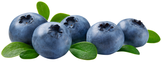 Blueberry isolated png. Blueberry with leaf on white or transparent background. Perfect retouched blueberries with leaves no background. Png blueberry. Full depth of field.