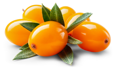 Buckthorn isolated png. Buckthorn heap with leaf on white or transparent background.. Group of seabuckthorn berries with leaves no background. Buckthorn with transparent shadow. Full depth of field.