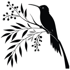 Fototapeta premium Vector illustration of a wild bird on a winter tree branch, a cute black silhouette design