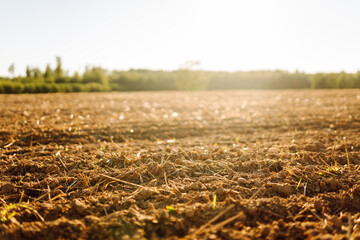 Freshly plowed land in the rays of the setting sun with a dense forest in the background. An...
