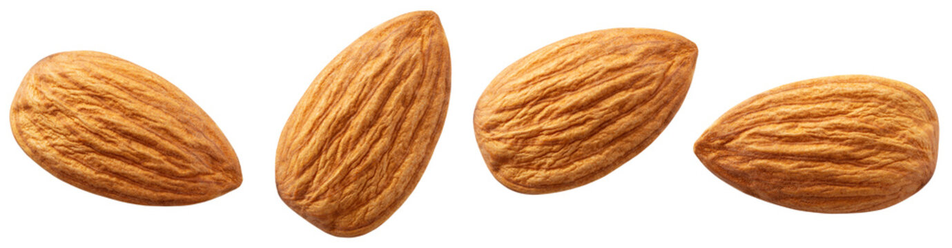 Almond collection png. Almond nuts isolated on white or transparent background. Perfect retouched almonds no background top view. Almond collection. Transparent png. Full depth of field.