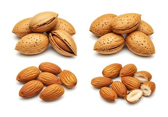 A collection of almonds on a white surface