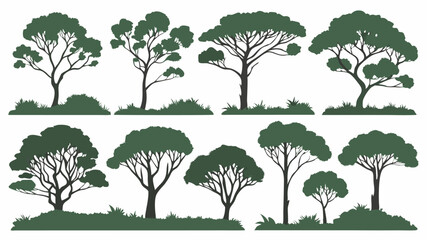 Detailed illustration of a single tree in nature